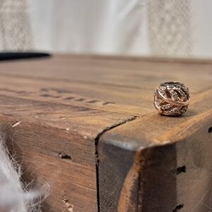 Pandora Rose "Light As A Feather" Bracelet Charm